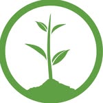 onetreeplanted profile picture