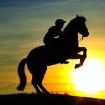 onhorseback profile picture