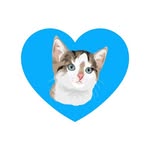onlycats_otat profile picture