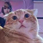 onlyusteve profile picture