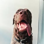 onn2208 profile picture