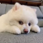 onni_16126 profile picture