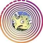 ooomemes profile picture