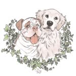 ooshpack profile picture