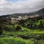 ooty__tourism profile picture