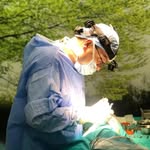 op.dr.mustafauhal_anvar profile picture