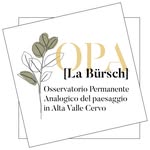 opa.bursch profile picture