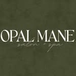 opalmanesalon profile picture