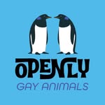 openlygayanimals profile picture