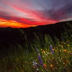 orangecountyoutdoors profile picture