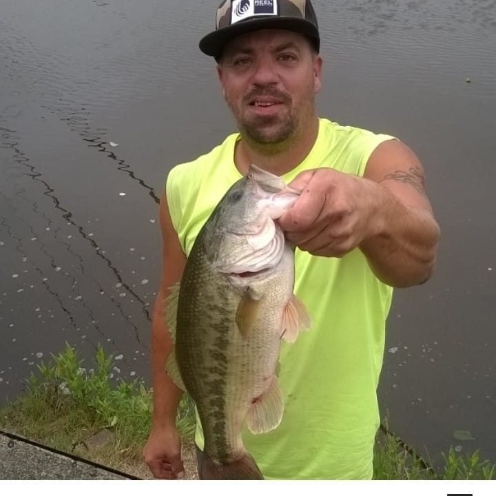 oregoncoastbassin profile picture