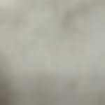orenalexander profile picture