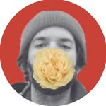 ori.aryeh profile picture