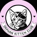 orphankittenclub profile picture