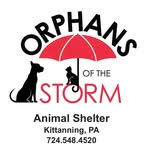 orphans.of.the.storm profile picture