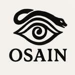 osain.co profile picture