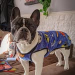 ottochancho profile picture