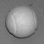 ottomilo profile picture