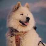 ouka.sam profile picture