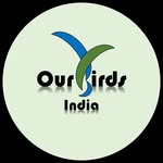 ourbirds_india profile picture