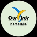 ourbirds_karnataka profile picture