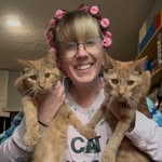 ourfosterbabes profile picture