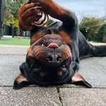 ourgirllola_ profile picture