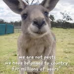 ourhavenwildlifeshelter profile picture