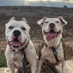 ourpitstop profile picture