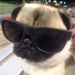 out.of.aura profile picture