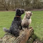 ovenmuttss profile picture