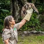owl.whisperer profile picture