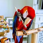 ownedbybirds profile picture