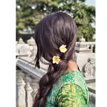 paavanashona_ profile picture
