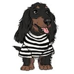 pablo.and.co profile picture