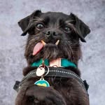 pablominibeast profile picture