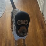 paddyjford profile picture