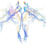 padmanwrites profile picture