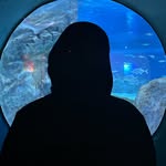 page.dev1 profile picture