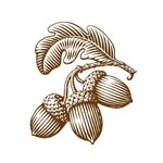 pajaressalinas profile picture