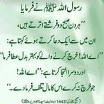 pakisalamichadees profile picture