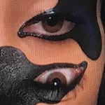 palefoxsahara profile picture