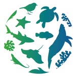 palma_aquarium_fundacion profile picture