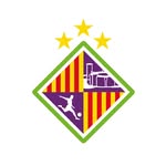 palmafutsaloficial profile picture