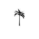 palmamariab profile picture