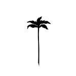 palmaserena_ profile picture