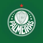 palmeirasfeminino profile picture