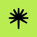 palmstreetapp profile picture
