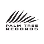 palmtreerecs profile picture
