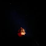 palovits profile picture